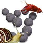 SunGrow Balles énergie pour escargots et écrevisses, activité accrue et mobilité améliorée.