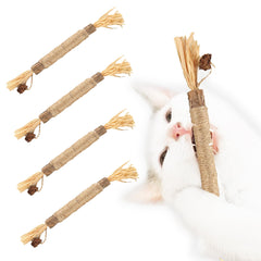 SunGrow batons Silvervine-fruit gall pour petits animaux: idéal pour des séances de mastication.