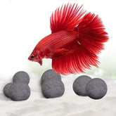 SunGrow Betta Balls – boules-eau pour améliorer la vitalité des Bettas.