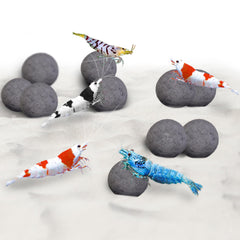 SunGrow boules crevettes – premier plan, favorisant couleur et bien-être