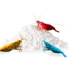 SunGrow Calcium – image bouteille poudre, soutient la croissance des crevettes