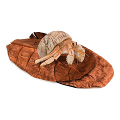 SunGrow Catappa feuilles utilisées comme nourriture occasionnelle pour hermites
