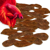 SunGrow feuilles Catappa mini, Betta nid à bulles facilité et habitat naturel.
