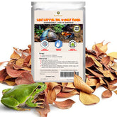 SunGrow Feuilles Catappa mini terrarium : améliore l'humidité et l'habitat naturel.