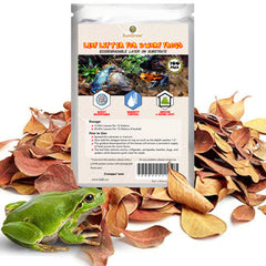 SunGrow Feuilles Catappa mini terrarium : améliore l'humidité et l'habitat naturel.