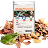 SunGrow feuilles d'amandier indien, pack 50, décor naturel et abri.
