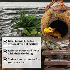SunGrow habitat reptile en noix de coco, caverne naturelle pour refuge et repos.