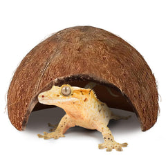 SunGrow hutte coco pour gecko à crête, perchoir naturel offrant stimulation et repos.