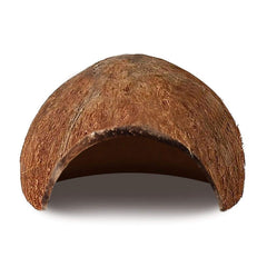 SunGrow hutte coco pour gecko à crête, zone ensoleillée dédiée au repos et à la chaleur.