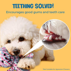 SunGrow ours-peluche-dentition, stimule l’interaction familiale et le jeu partagé.
