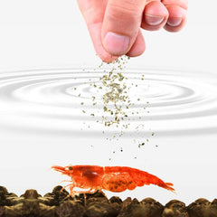 SunGrow Nourriture crevettes spiruline, favorise développement et vitalité