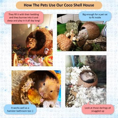 SunGrow refuge coque noix serpent-ball python: abri durable et naturel.