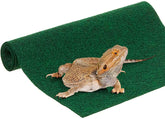 SunGrow Tapis terrarium vert – surface douce pour reptiles.