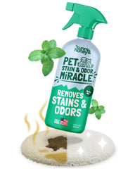 Sunny et Honey nettoyant enzymatique pour tapis: élimine l’urine de chien en profondeur