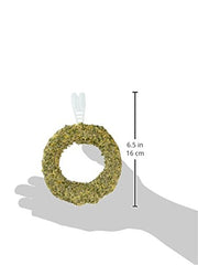 Sunseed Vita Prime Bague Oscillante, vue détail, conception robuste facilitant le toilettage.