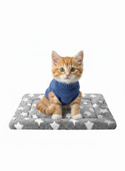 SUNSHE Tapis-lit pour chien et chat, double-face peluche et tissu frais