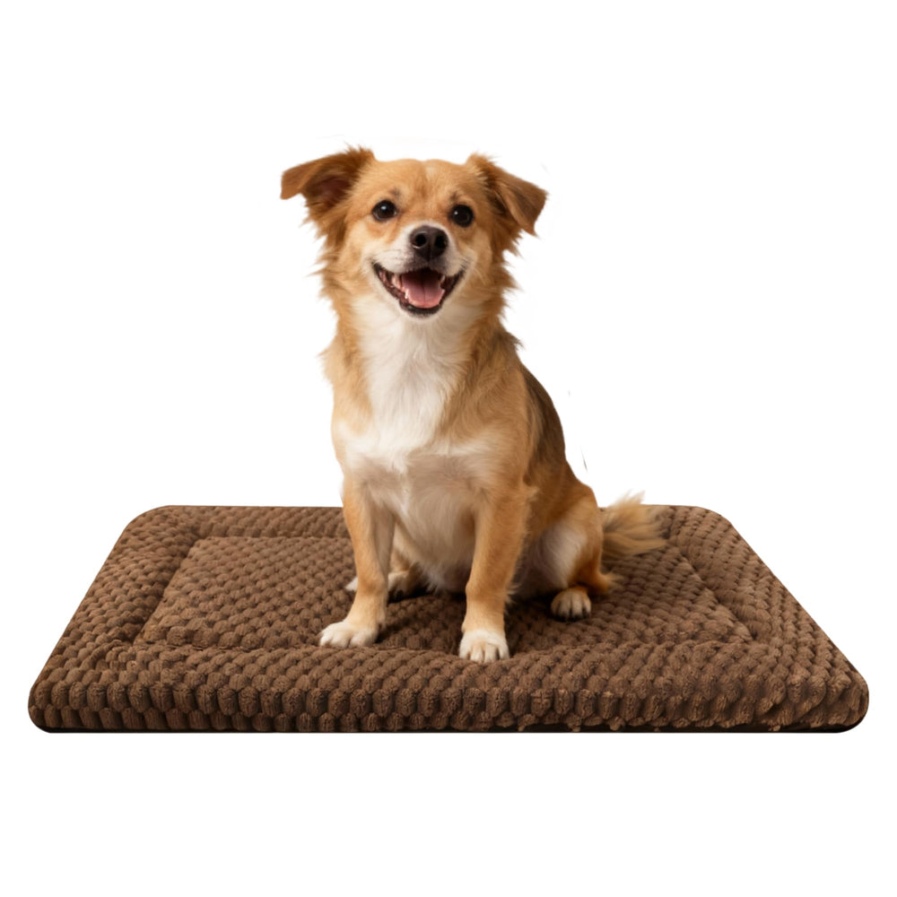 SUNSHE Dog Bed Mat surface douce offrant un confort enveloppant.