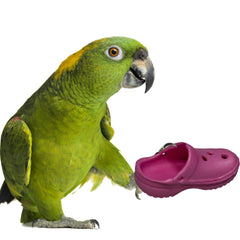 Jouet Crocs Super Bird Creations, facile à saisir, stimulation des pattes.