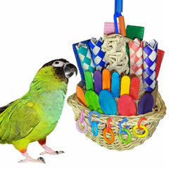 Panier forage osier 10 pouces par Super Bird Creations pour enrichissement et jeu.