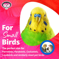 SB971 Noël Perles plastiques colorées – stimulation visuelle et tactile pour petits oiseaux
