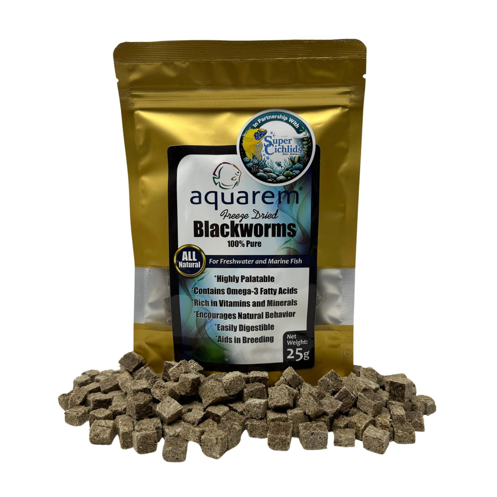 Super Cichlids: vers noirs californiens lyophilisés en cubes, source protéique naturelle pour l'aquarium.