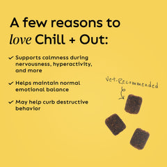 Super Snouts Chill Out – emballage bouteille, pratique pour les trajets et le rangement.