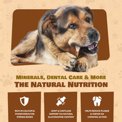 Superior Antler Dog Chews — corne d’élan nettoyée et sans odeur pour usage intérieur et extérieur.