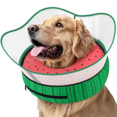 Collier Supet en forme de beignet gonflable pour chien, design ludique et sûr.