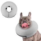 Collier gonflable Supet en forme de beignet pour chien, douceur et protection.