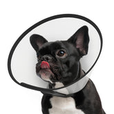 Cône Supet pour chien post-chirurgie, ajustable pour un port sûr.