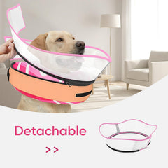 Supet collier récupération à double serrage, adapté aux grands chiens actifs et forts.