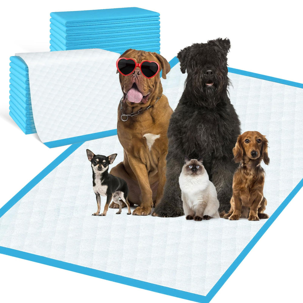 SUPRONLOVE tapis d'entraînement jetable 31x55, pratique et propre.