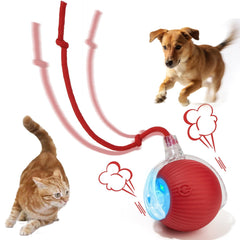 SUPVOL balle interactive pour chien et chat, favorise l’activité et le jeu intérieur.