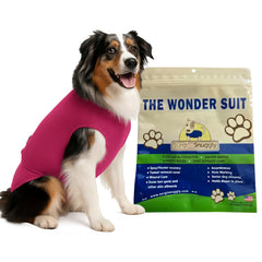 Surgi~Snuggly costume de récupération pour chien après chirurgie, confort et mobilité.