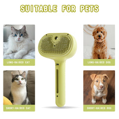 Brosse susu et wuwu avec réservoir eau, spray doux pendant le brossage.