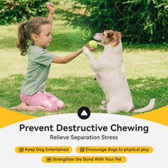Susu & Wuwu: ensemble de 12 balles sifflantes pour plusieurs chiens.