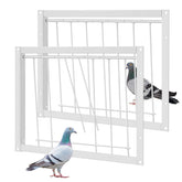 Suzile porte d'entrée pigeon une voie, entrée en sens unique pour un élevage maîtrisé