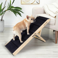 SweetBin rampe chien lit pliable, facilité d’accès au lit