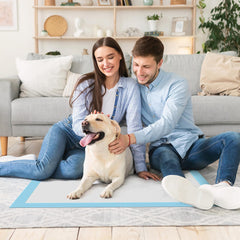 Sweetcrispy tapis-pipi chiots anti-fuites facilitant le nettoyage.
