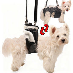 SyFatWeen harnais levage chien, soutien efficace pour les pattes arrière lors des exercices.