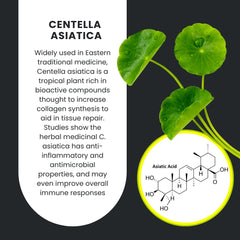 SynNutra GastroMend : cheval-digestif pour un confort gastrique pendant l'entraînement et voyages.