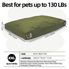 Tailles XL et XXL Sytopia, ideal pour chiens de grande taille.