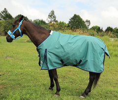T TEKE Deluxe Turnout Blanket – doublure nylon souple, contact doux contre le pelage.
