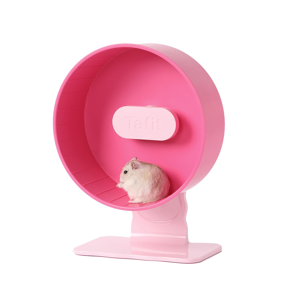 Roue Tafit silencieuse pour hamster nain, exercice calme et sans bruit.