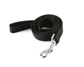 Laisse TAIDA en nylon dressage, longueur six pieds et largeur un pouce, contrôle renforcé.