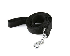 Laisse TAIDA en nylon dressage, longueur six pieds et largeur un pouce, contrôle renforcé.