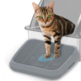 TAILRYTH rampe elevee litiere chat: facilite l'acces quotidien pour chatons et seniors