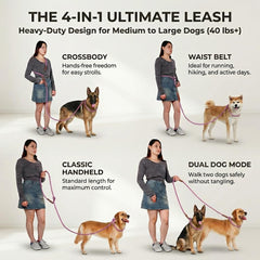 Laisse réglable Tails & Tales pour entraînement et promenades quotidiennes.