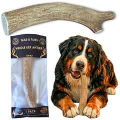 Tails & Tales – Corne d’élan 9-11 pouces, bâton durable pour mastication intense