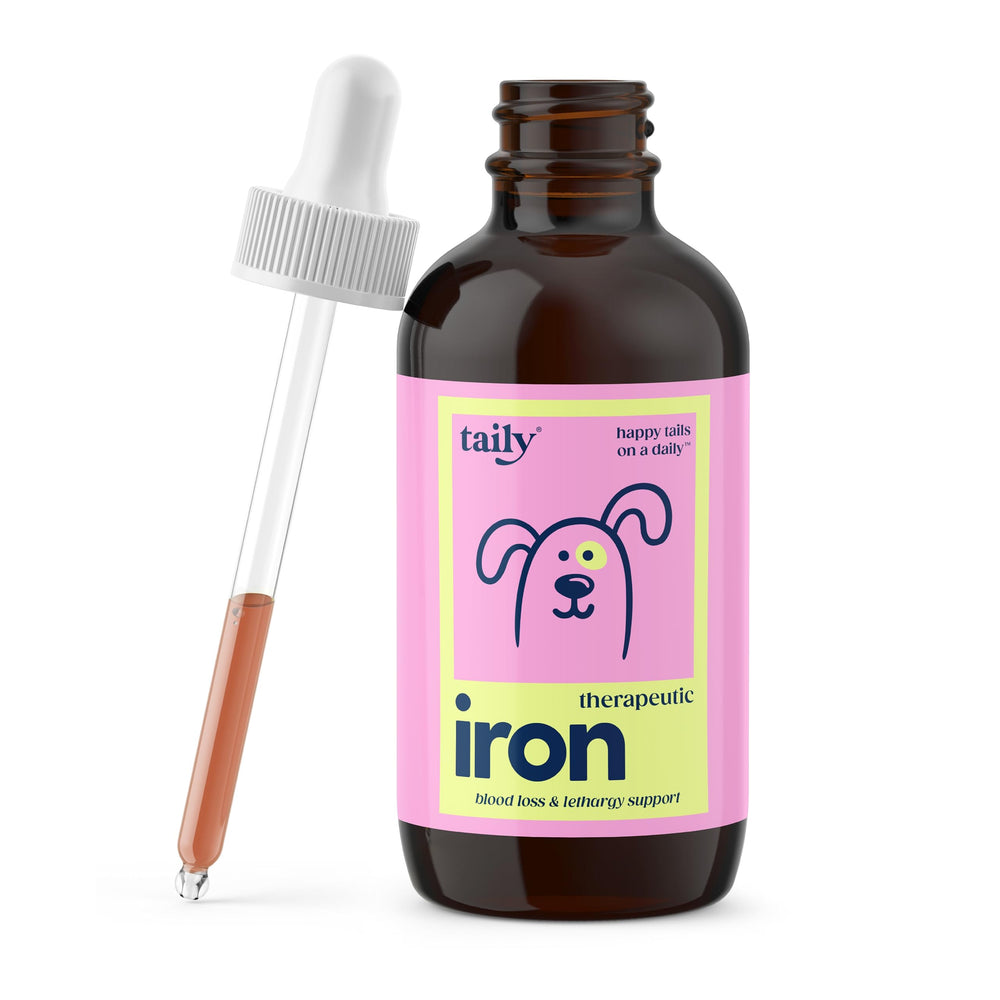 Flacon Taily AminoPets de fer liquide pour chiens et chats, soutien potentiel à l'énergie.